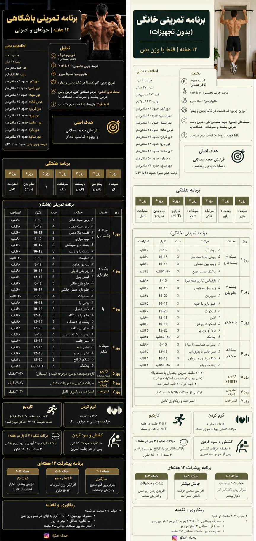 اینفوگرافیک برنامه تمرینی اختصاصی